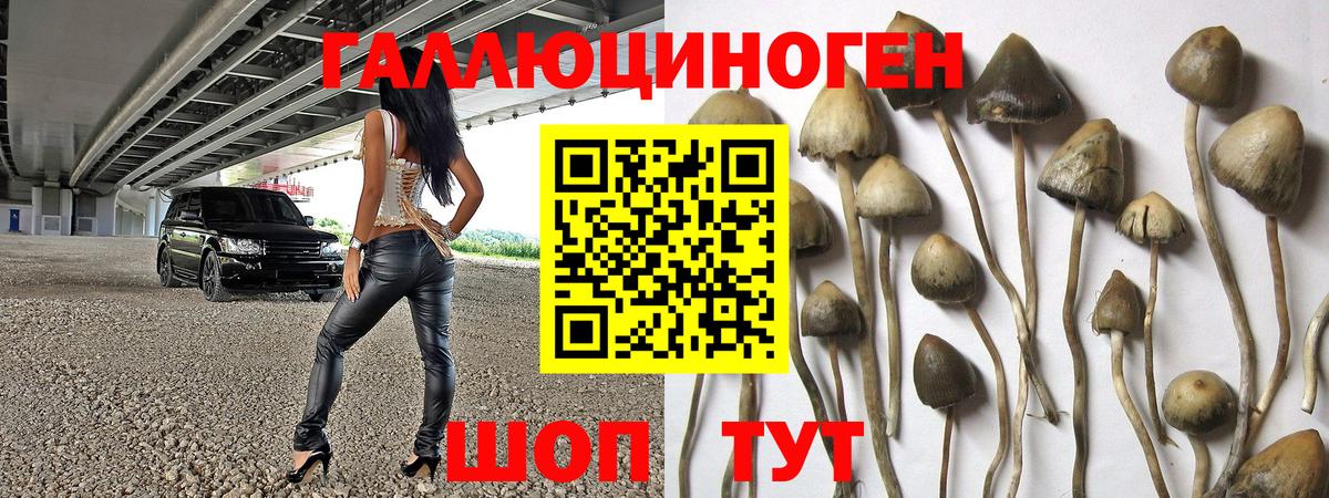Жуковский  Галлюциногенные грибы GOLDEN TEACHER  Вход с VPN 