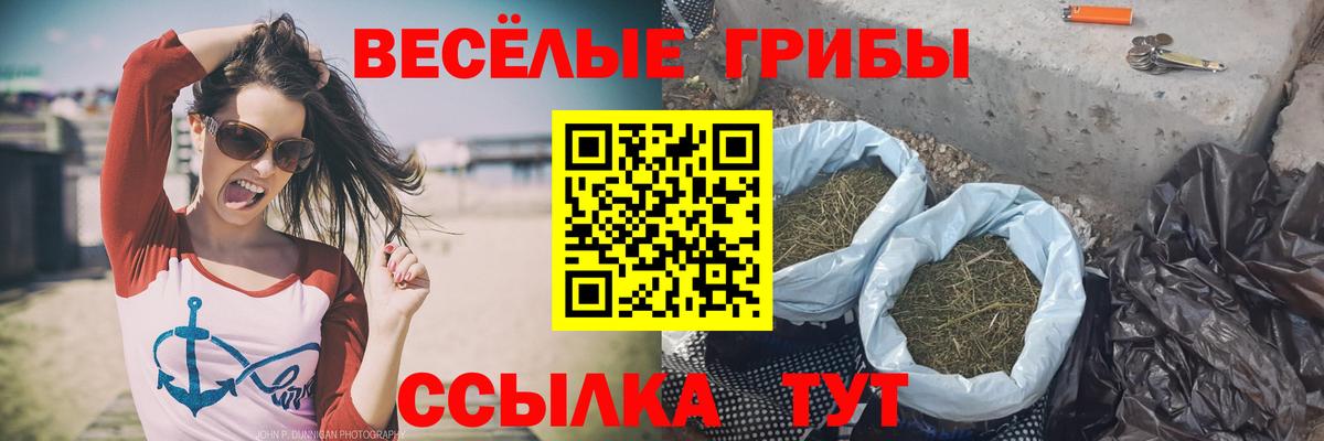 Псилоцибиновые грибы прущие грибы Жуковский